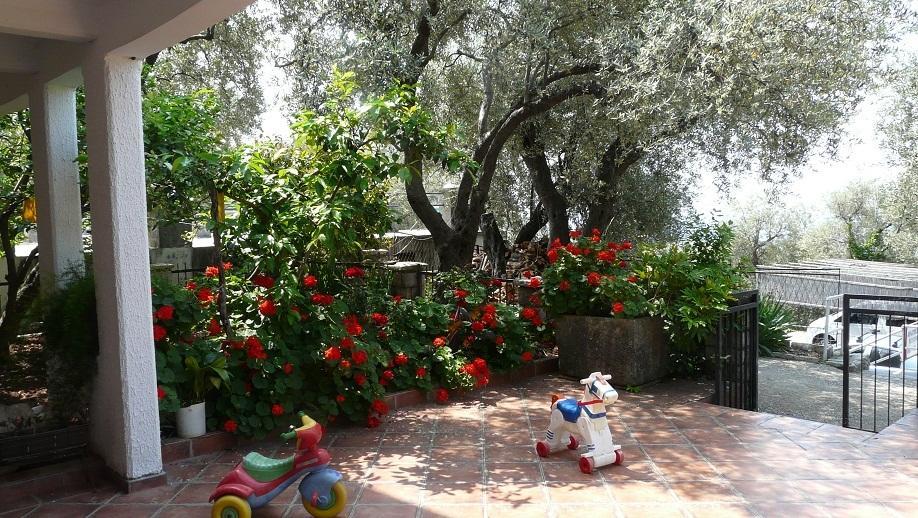 Guest House Zivkovic Sveti Stefan Dış mekan fotoğraf